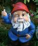 Laughing Gnome