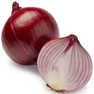 OnionTerror