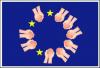 EU-flag-300x203.jpg